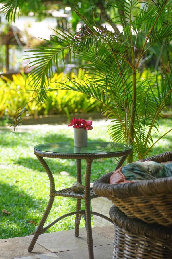 Bed and Breakfast Pousada Wind Paracuru Exterior foto